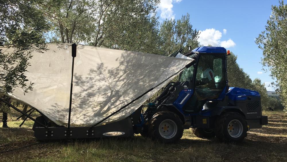 TREE SHAKER WITH COLLECTOR