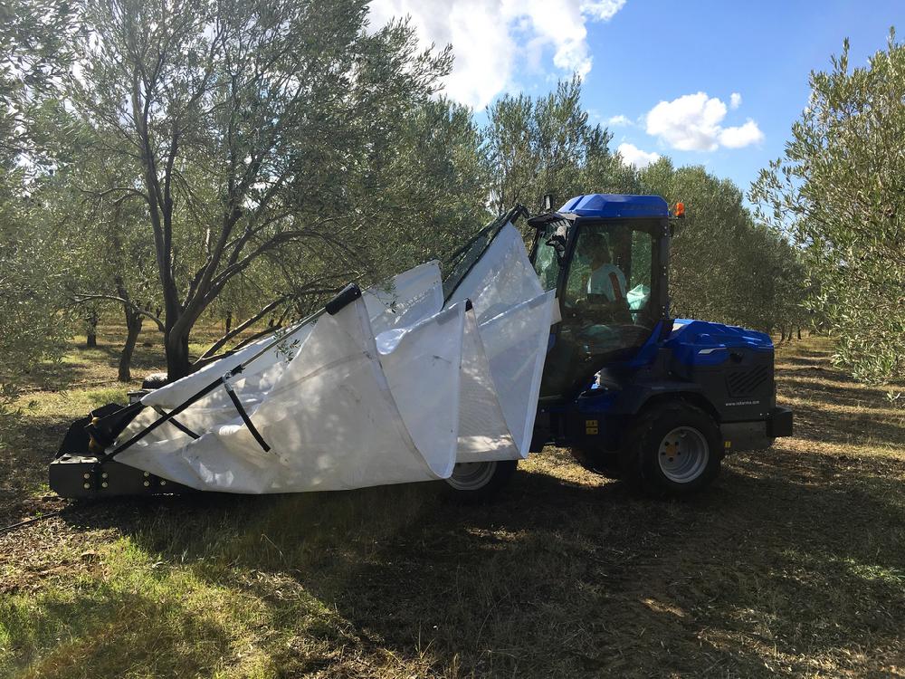 TREE SHAKER WITH COLLECTOR