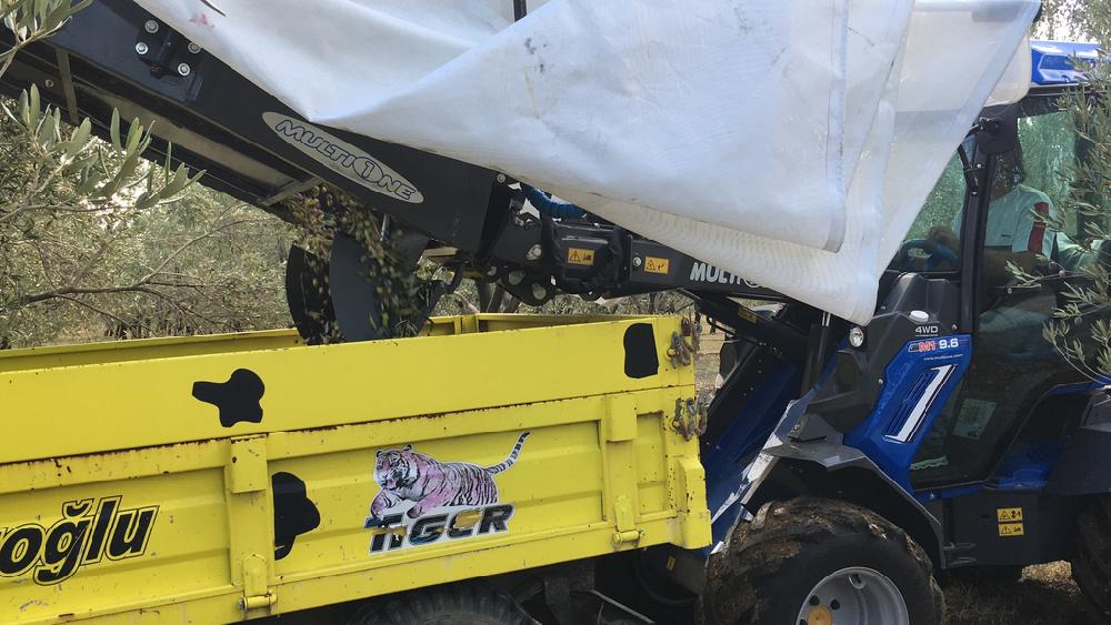 TREE SHAKER WITH COLLECTOR