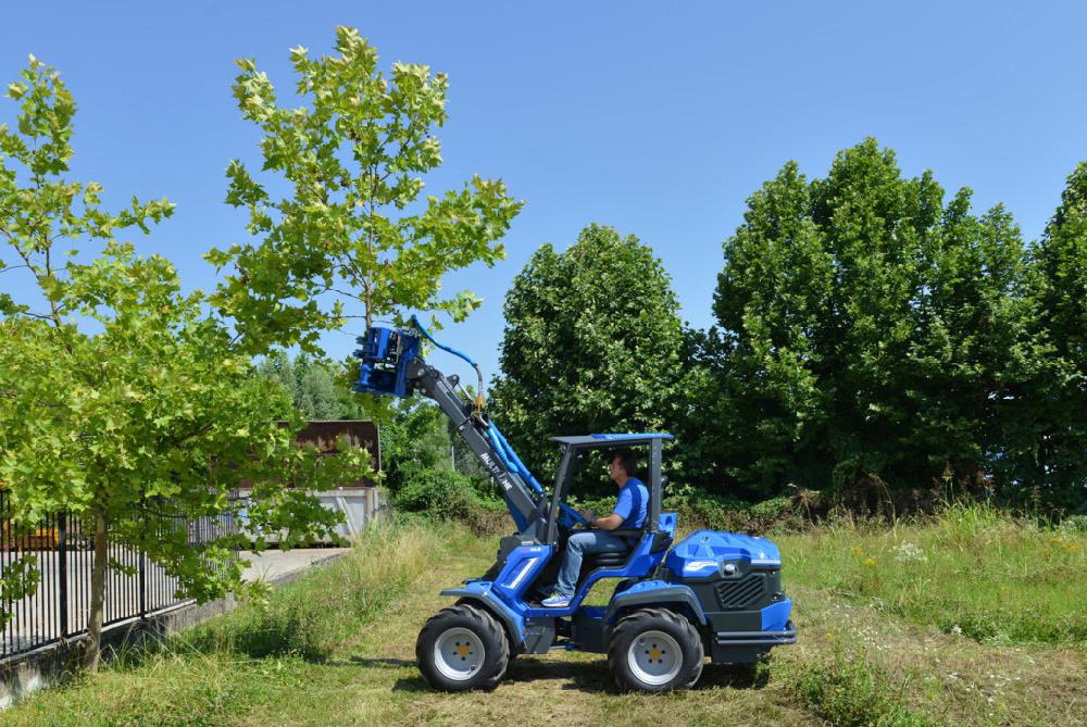 Tree shear