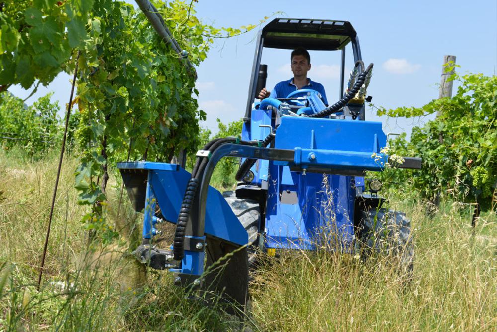 String shoot remover