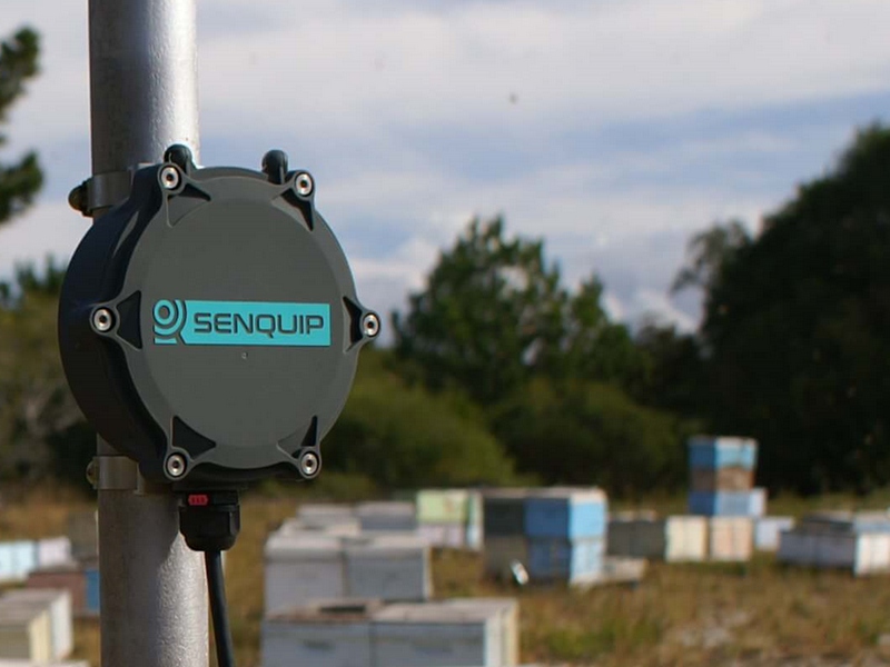 Humidity and temperature in beehives 