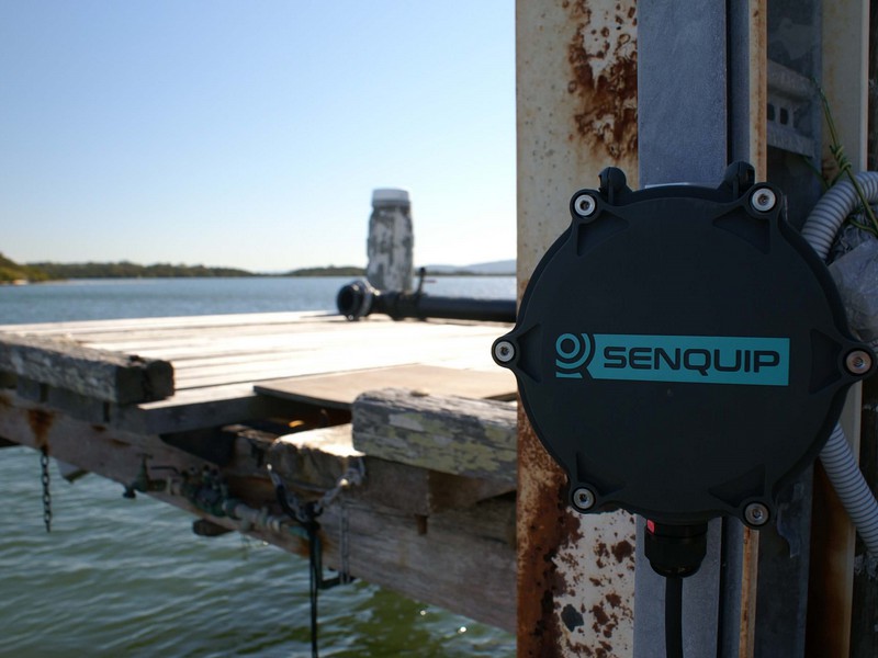 Aquaponics Water clarity monitoring 